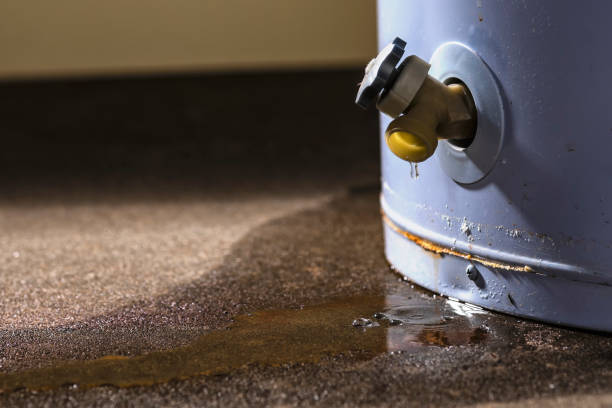 Best Flood restoration services  in El Portal, FL