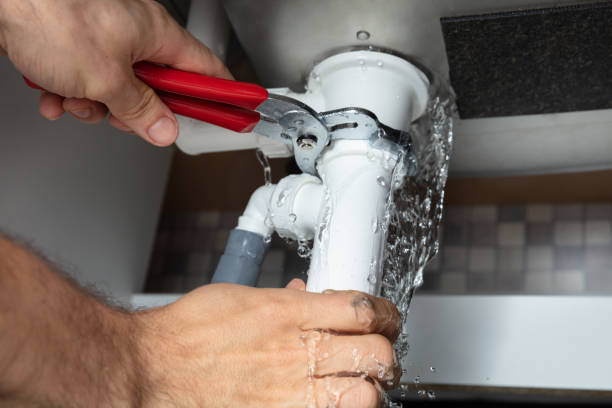 Best Water damage cleanup near me  in El Portal, FL