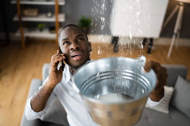 Best Basement water damage restoration  in El Portal, FL