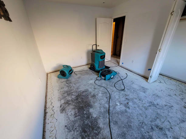 Best Water damage restoration near me  in El Portal, FL