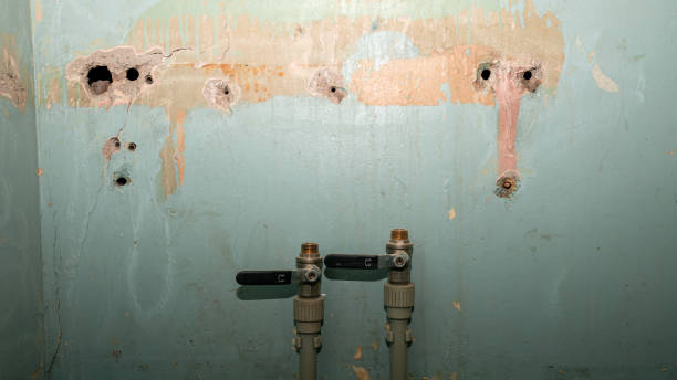Best Flood damage cleanup  in El Portal, FL