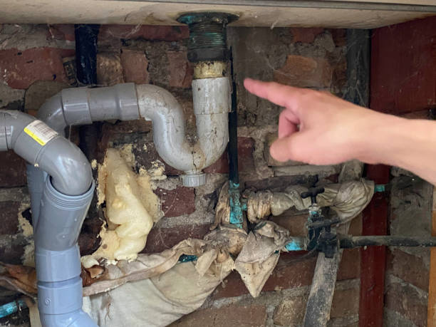 Best Fire Damage Restoration  in El Portal, FL